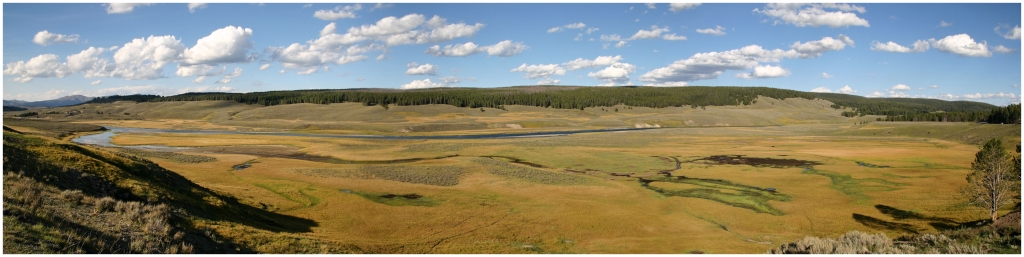 04 - Yellowstone NP (59) - Hayden valley.jpg